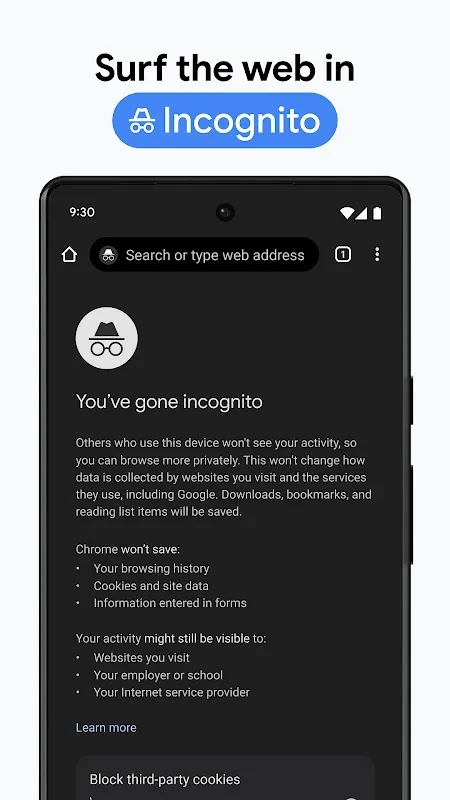 Google Chrome screenshot 5